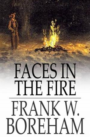 Book cover of Faces in the Fire