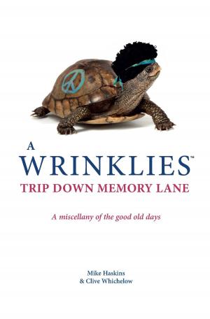 Book cover of Wrinklies: A Trip Down Memory Lane