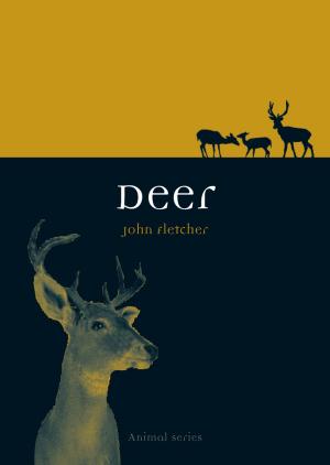 Book cover of Deer
