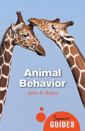 Cover of the book Animal Behavior by David Darling, Dirk Schulze-Makuch