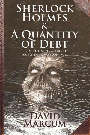 Cover of the book Sherlock Holmes and A Quantity of Debt by David Marcum