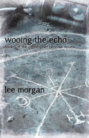 Book cover of Wooing the Echo