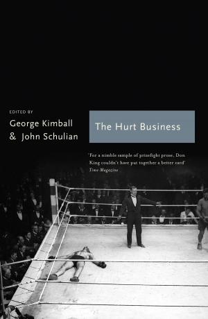 Cover of the book The Hurt Business by Phoebe Clapham
