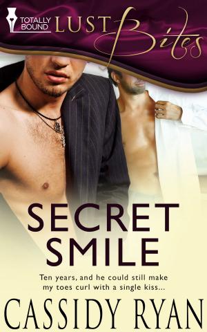 Cover of the book Secret Smile by Alexa Milne