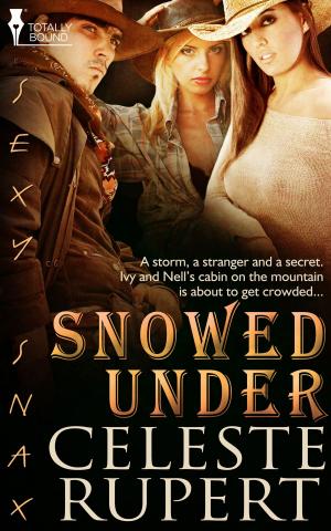 Cover of the book Snowed Under by Simone Anderson