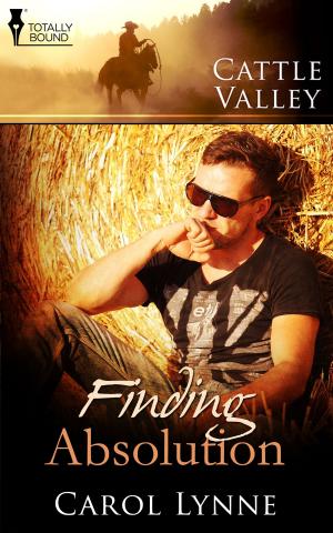 Cover of the book Finding Absolution by Bailey Bradford