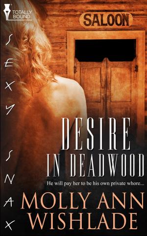 Cover of the book Desire in Deadwood by Samantha Cayto