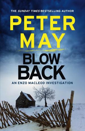 Cover of the book Blowback by Tom Pollock