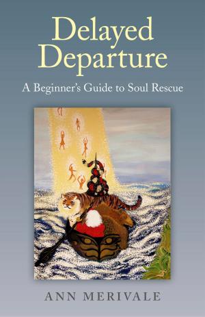 Cover of the book Delayed Departure by Judy Hall