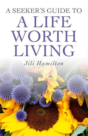 Cover of the book A Seeker's Guide to a Life Worth Living by Rob Larson