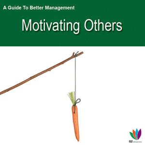 Cover of the book A Guide to Better Management: Motivating Others by David Greenland