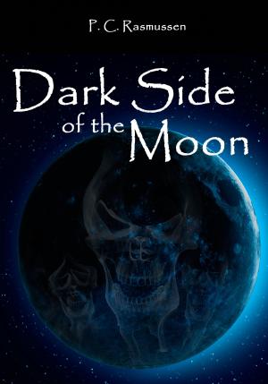 Cover of the book Dark Side Of The Moon by J. A. Schultz