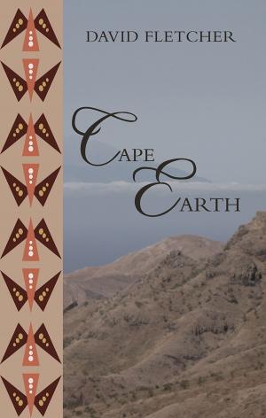Cover of the book Cape Earth by Mark Berry, Randi O'Gilvie