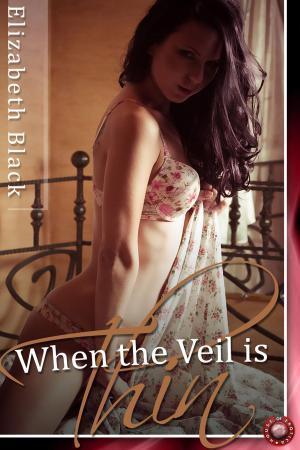 Cover of the book When The Veil Is Thin by Chris Cowlin
