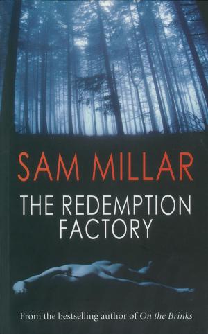 Cover of the book The Redemption Factory by Marian Broderick