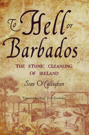Cover of the book To Hell or Barbados by Conor Kostick