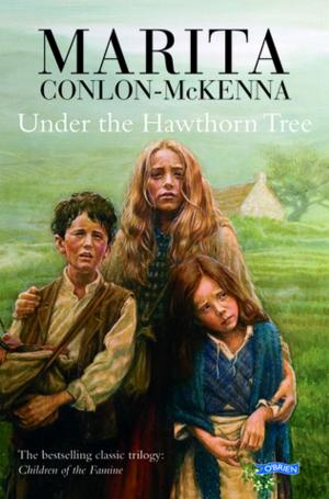 Cover of the book Under the Hawthorn Tree by Colin Murphy, Donal O'Dea
