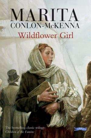 Cover of the book Wildflower Girl by Aubrey Flegg