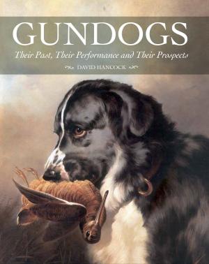 Book cover of Gundogs