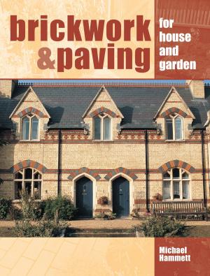 Cover of the book Brickwork and Paving by Peter Johnson