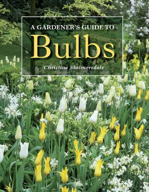Cover of the book Gardener's Guide to Bulbs by Anni Stonebridge, Jane Cumberlidge Jane Cumberlidge