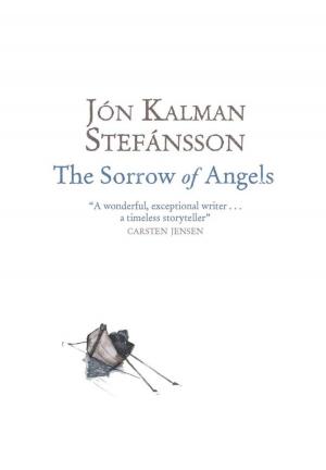Cover of the book The Sorrow of Angels by David Conn