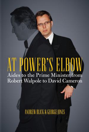 Cover of the book At Power's Elbow by Jon Henderson