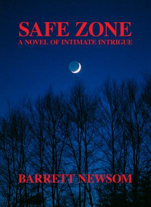 Cover of the book Safe Zone by Maria Johnsen
