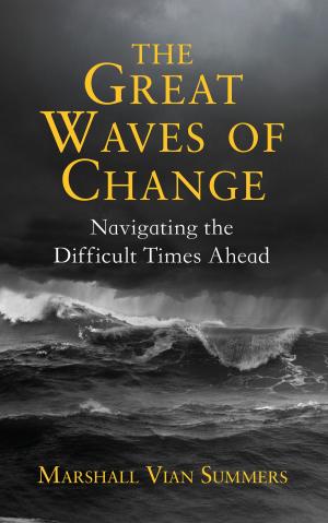 Cover of the book The Great Waves of Change by Caty Dethy