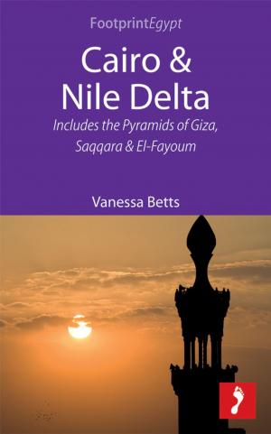 Cover of Cairo & Nile Delta: Includes the Pyramids of Giza, Saqqara and El-Fayoum