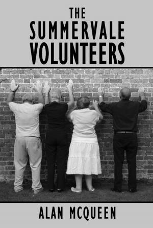 Cover of the book The Summervale Volunteers by Harry Harris