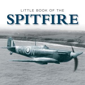 Cover of the book Little Book of Spitfire by David Clayton