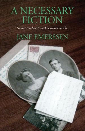 Cover of A Necessary Fiction
