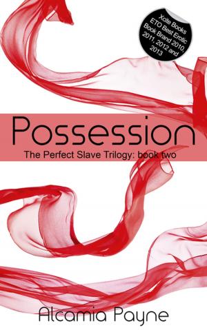 Cover of the book Possession by Primula Bond