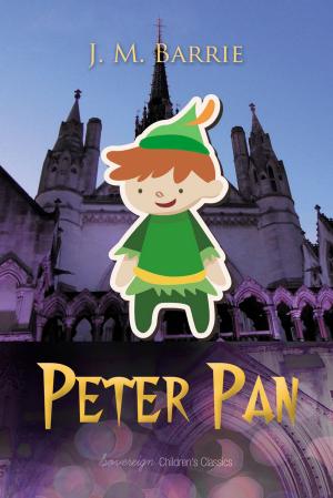 Cover of the book Peter Pan by Rainer Rilke