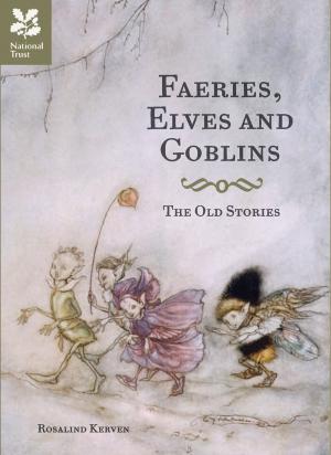 Book cover of Faeries, Elves and Goblins