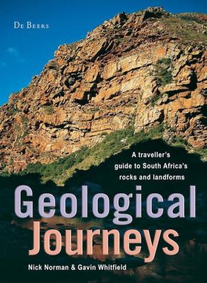 Cover of the book Geological Journeys by Sarah Graham