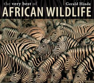 Cover of the book The Very Best of African Wildlife by Lucy Corne