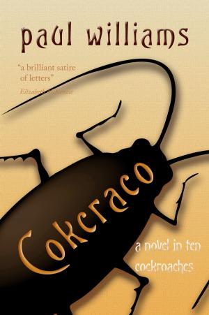 Cover of the book Cokcraco by J.S. McInroy