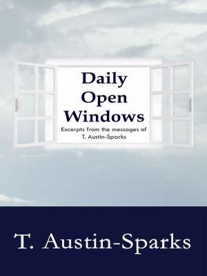 Book cover of Daily Open Windows