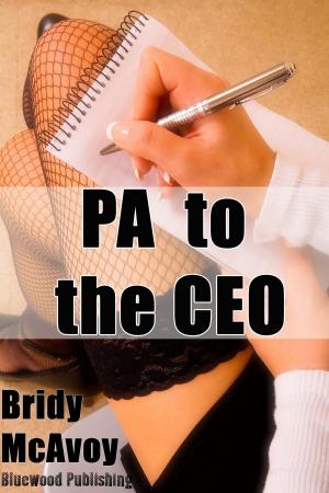 Cover of the book PA To The CEO by David Bowman