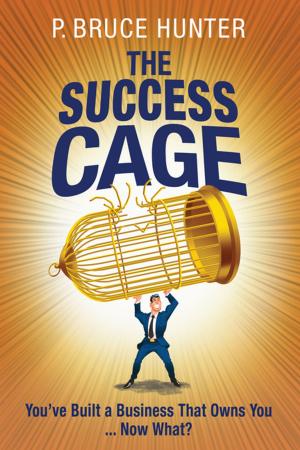 Cover of the book The Success Cage by Paul Born