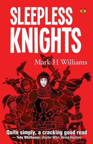 Cover of the book Sleepless Knights by Stephen B5 Jones