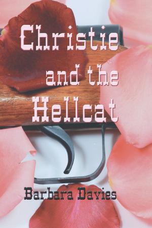 Cover of the book Christie and the Hellcat by Laurie Salzler