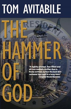 Cover of the book The Hammer of God by James LePore