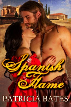Cover of the book Spanish Flame by Faye Hall