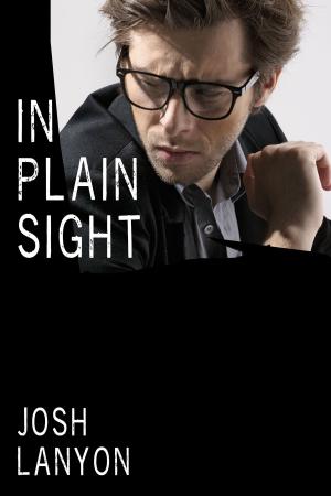 Cover of the book In Plain Sight by Alicia Noister