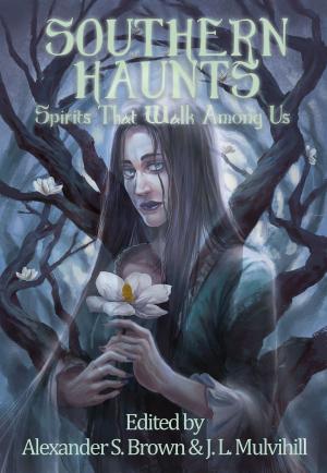 Book cover of Southern Haunts: Spirits That Walk Among Us