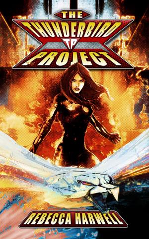 Cover of the book The Thunderbird Project by P.J. Post
