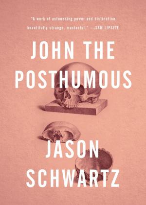 Cover of John the Posthumous